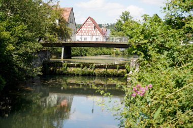 Parkın güzel manzarası