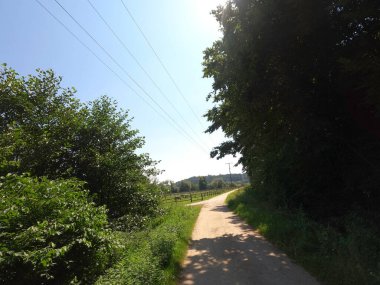 Ormanda yol