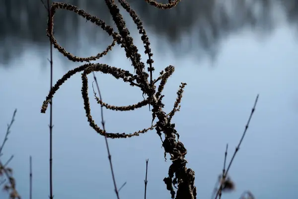 Krásný Výhled Krajinu Přírody — Stock fotografie