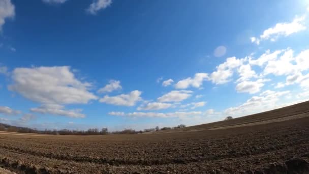 Crise Climática Declínio Florestal Atingiram Muito Duramente Florestas Alemanha Baviera — Vídeo de Stock