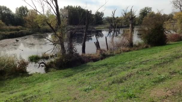 Donau Zijn Oude Wateren Zijn Gefotografeerd Beieren Bij Regensburg — Stockvideo