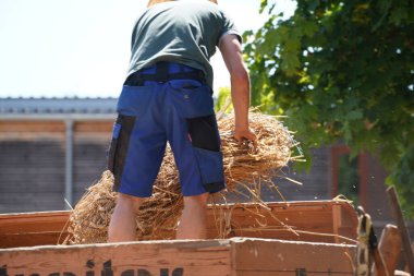 Eski ekipmanlarla tahıl hasat ve işleme