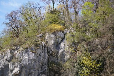 Tuna Nehri ve eski suları Regensburg yakınlarındaki Bavyera 'da fotoğraflanmıştır.