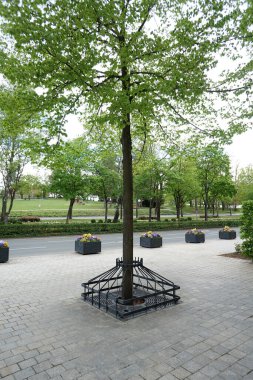 Dinlenmek için yemyeşil ve dinlenmek için banklara park edin.