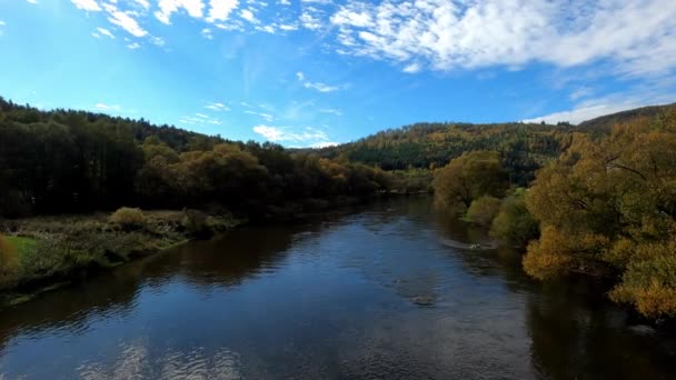 Danubio Sue Vecchie Acque Sono Fotografati Baviera Vicino Ratisbona — Video Stock