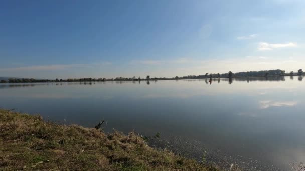 Річка Дунай Старі Води Сфотографовані Баварії Поблизу Регенсбурга — стокове відео