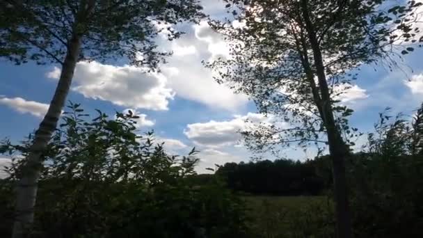 Nubes Cielo — Vídeos de Stock