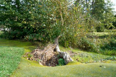 Dinlenmek için yemyeşil ve dinlenmek için banklara park edin.