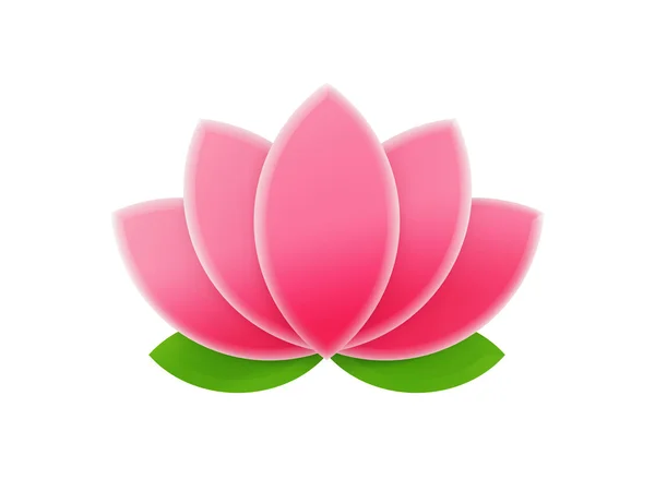 Pink lotus — Stock Photo, Image