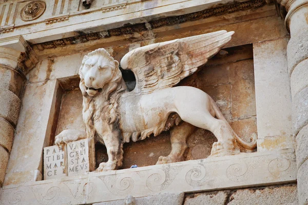 Winged lion — Stock Photo, Image