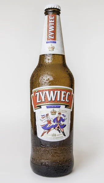 Cerveja Zywiec — Fotografia de Stock