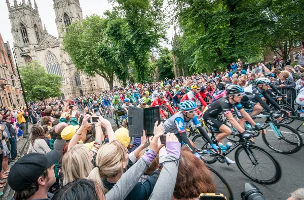 Tour de France peleton in York Rechtenvrije Stockfoto's