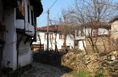 Osmanlı tarzı evler