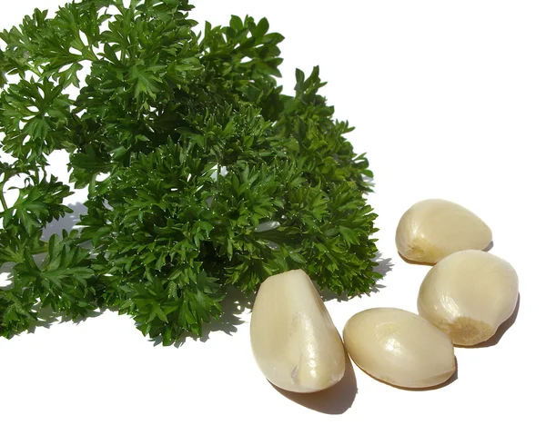 Parsley and garlic — Stock Photo, Image