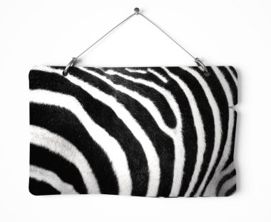 Zebra kürk hakları Kurulu