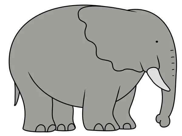 Grote olifant — Stockfoto