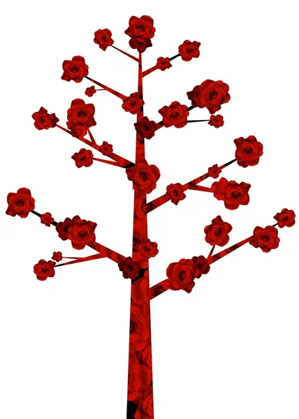 Czerwony kwiat drzewa — Zdjęcie stockowe
