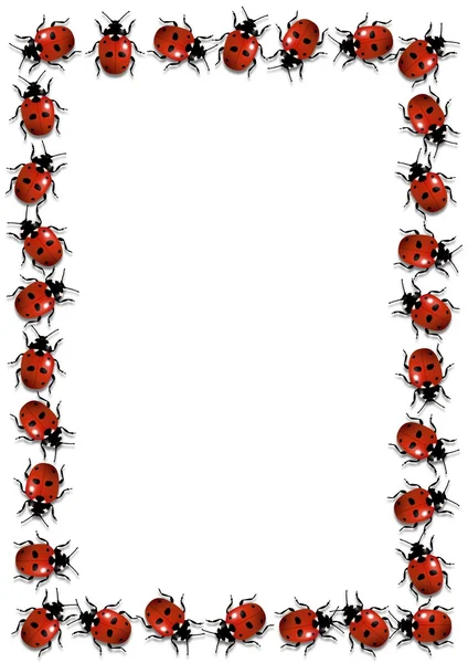 Coccinelle telaio — Foto Stock