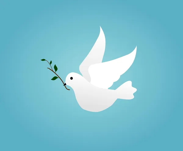 Dove with Olive branch — Stock Photo, Image