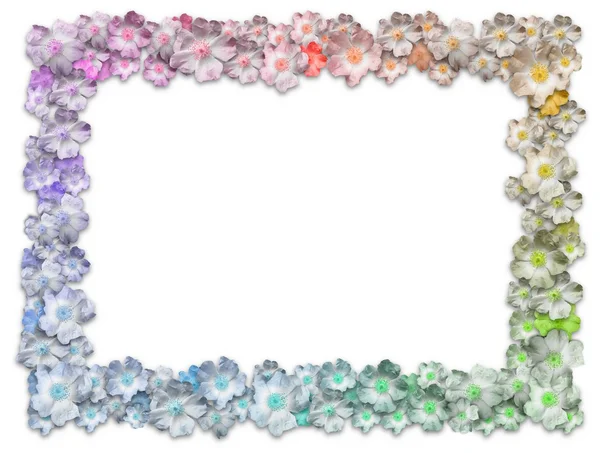 Rectangle Floral Frame — Stock Photo, Image