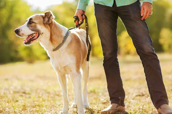 Homme et chien — Photo