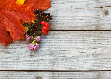 retro Vintage yapraklı arka plan