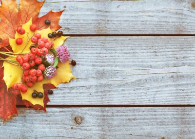 retro Vintage yapraklı arka plan