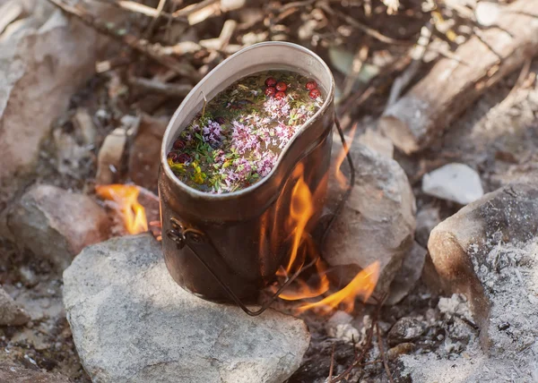 Förbereda te i bergen — Stockfoto