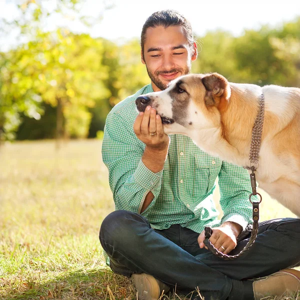 Man and central Asian shepherd walk in the park. He keeps the do — Stock Photo, Image