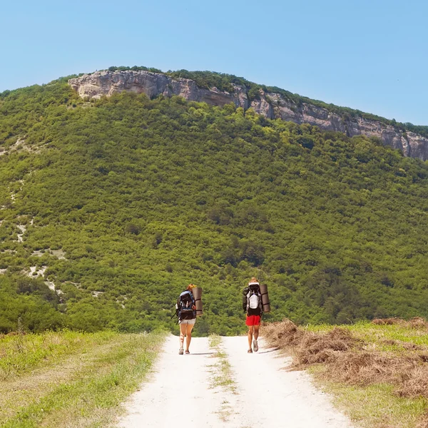 Randonneurs avec sacs à dos marchant dans une prairie avec de l'herbe luxuriante — Photo