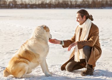 açık havada köpeğiyle oynayan adam ve Orta Asya çoban