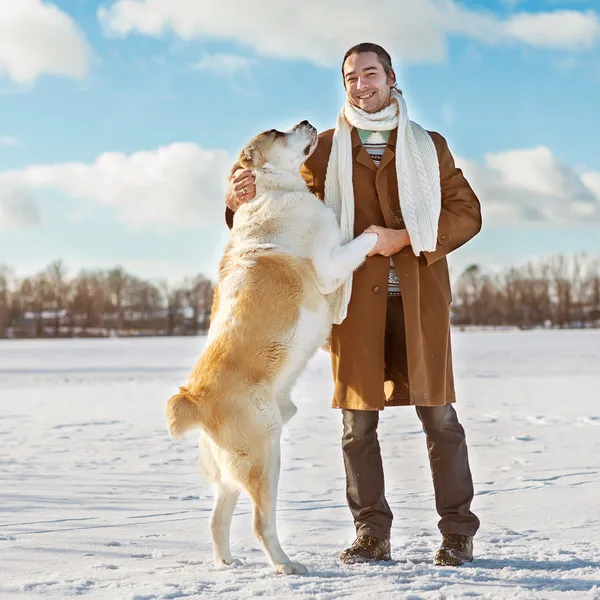 Человек и собака — стоковое фото