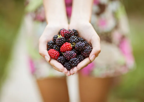 Brombeere in der Hand — Stockfoto