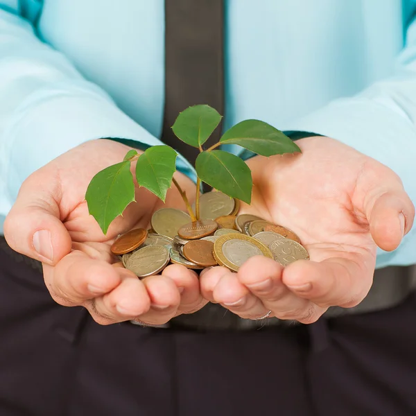 Businessman cover growing plant with coin money — Stock Photo, Image