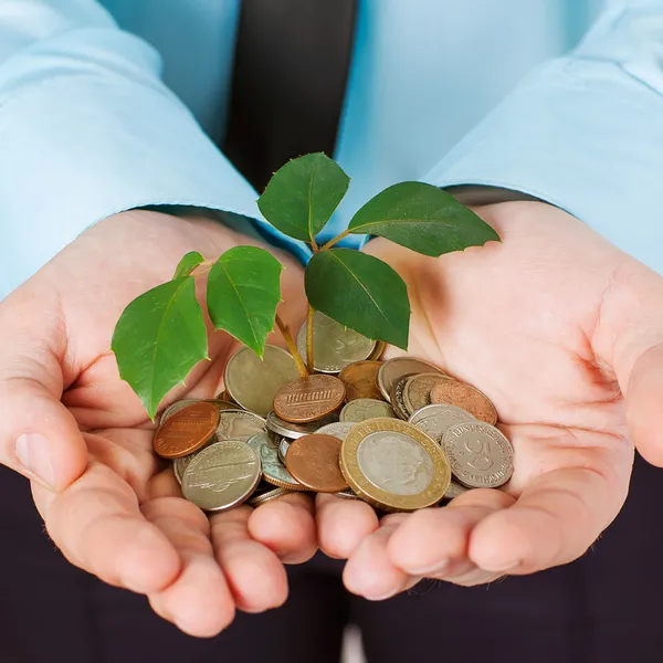 Investing to green business — Stock Photo, Image