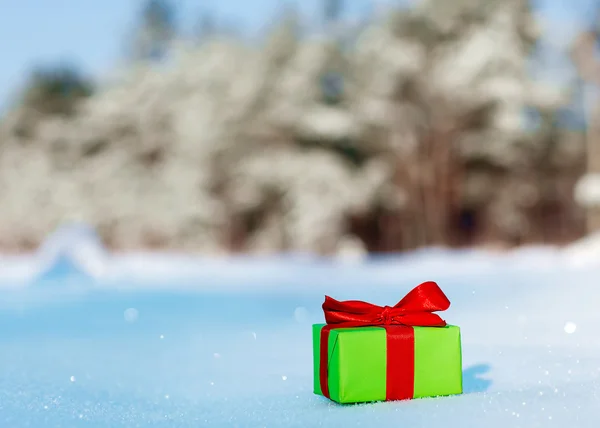 Geschenk im schneebedeckten Wald — Stockfoto