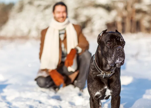 Homme et chien jouent dans les bois — Photo