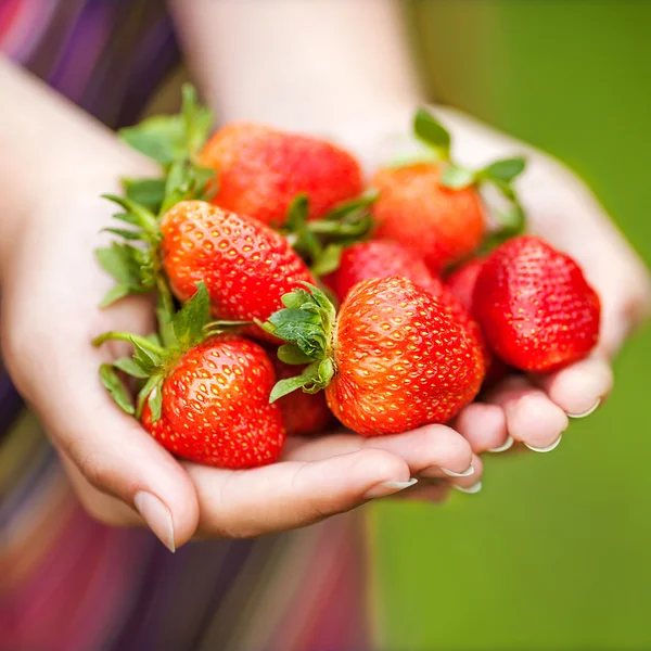 Hände, die Erdbeeren halten — Stockfoto