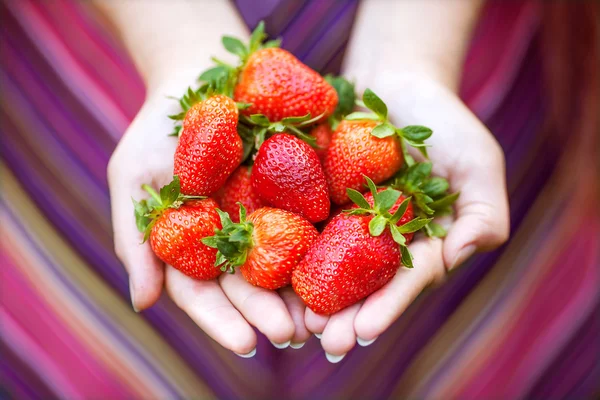 Aardbei in handen — Stockfoto