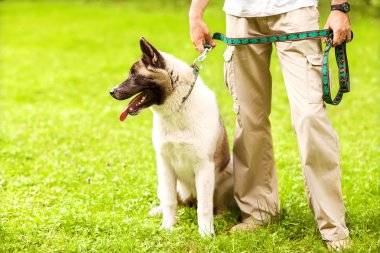 adam ve akita Inu köpek kadar basit.