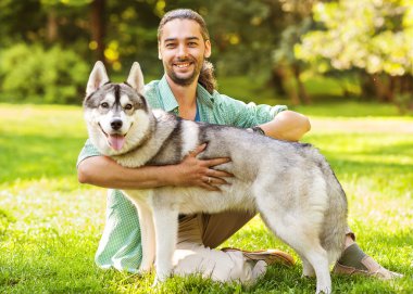 İnsan ve Husky köpeği parkta yürüyor..