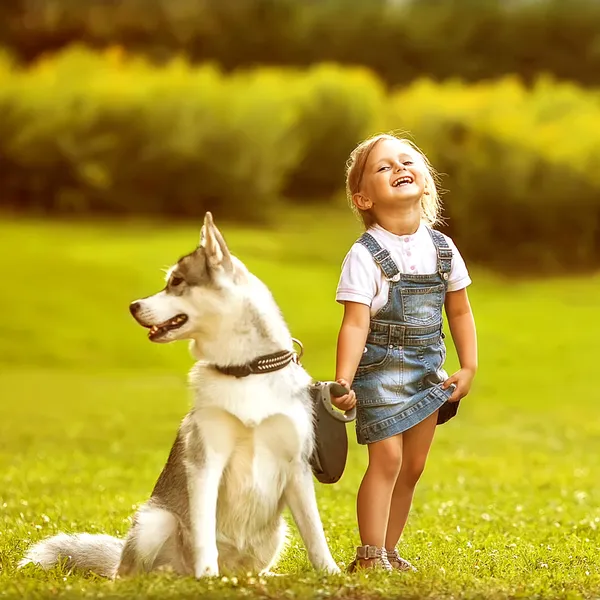 Liten flicka i parken sitt hem med en hund husky — Stockfoto