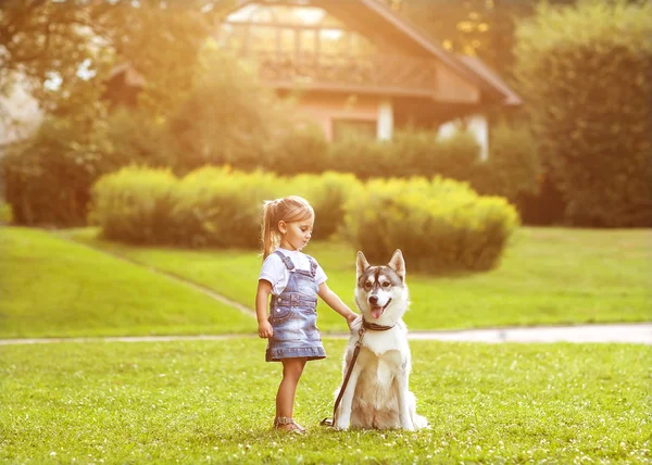 Malá holčička v parku svůj domov s pes husky — Stock fotografie