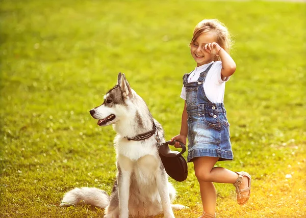 公園で少女犬ハスキーで彼らの家 — ストック写真