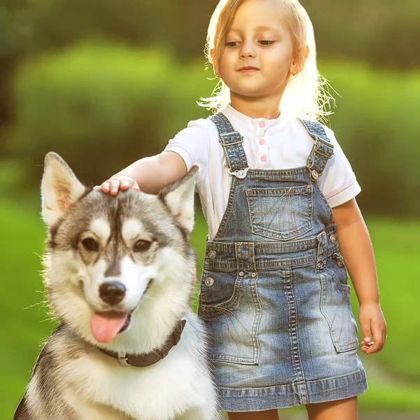 Father and daughter playing in the park in love with Dog Husky — Stock Photo, Image