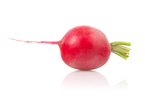 Radish on White Background — Stock Photo, Image