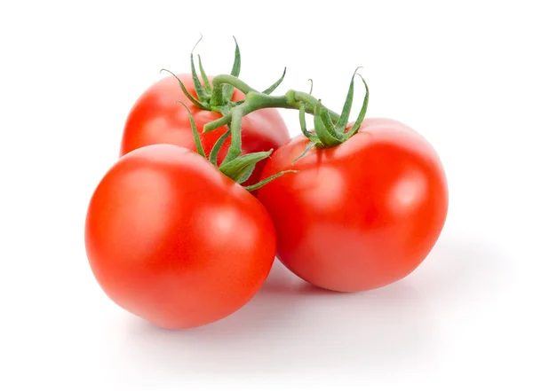 Tomatoes — Stock Photo, Image