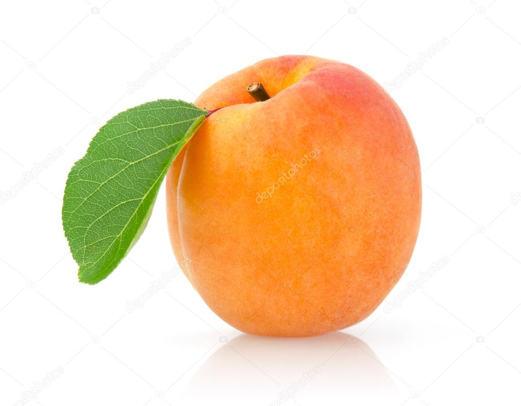 Ripe Apricot