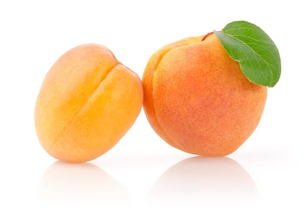 Ripe Apricots with Leaf — Stock Photo, Image