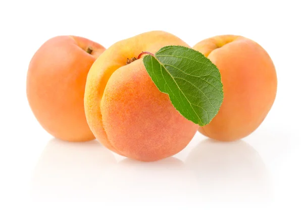 Ripe Apricots with Leaf — Stock Photo, Image